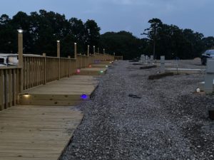 Glimpse Of Nature Gallery 20 - Willows At Watson