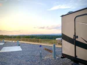 Glimpse Of Nature Gallery 5 - Willows At Watson