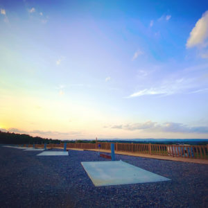 Glimpse Of Nature Gallery 17 - Willows At Watson