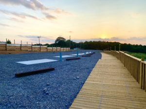 Glimpse Of Nature Gallery 4 - Willows At Watson