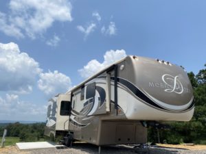 Glimpse Of Nature Gallery 14 - Willows At Watson