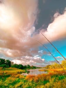 Glimpse Of Nature Gallery 13 - Willows At Watson