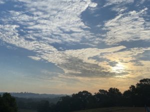 Glimpse Of Nature Gallery 12 - Willows At Watson