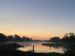 Glimpse Of Nature Gallery 11 - Willows At Watson