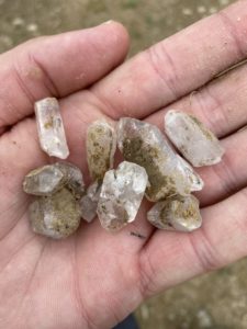 Glimpse Of Nature Gallery 9 - Willows At Watson