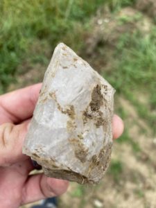 Glimpse Of Nature Gallery 8 - Willows At Watson