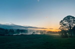 Glimpse Of Nature Gallery 23 - Willows At Watson