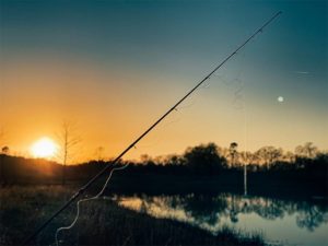 Glimpse Of Nature Gallery 24 - Willows At Watson
