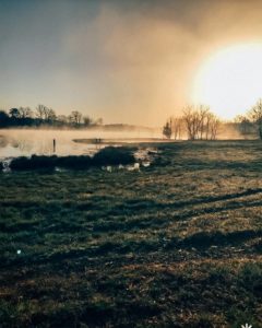 Glimpse Of Nature Gallery 30 - Willows At Watson