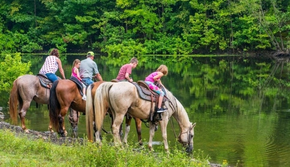 Family of 5 stops to let their horse get a drink from the river