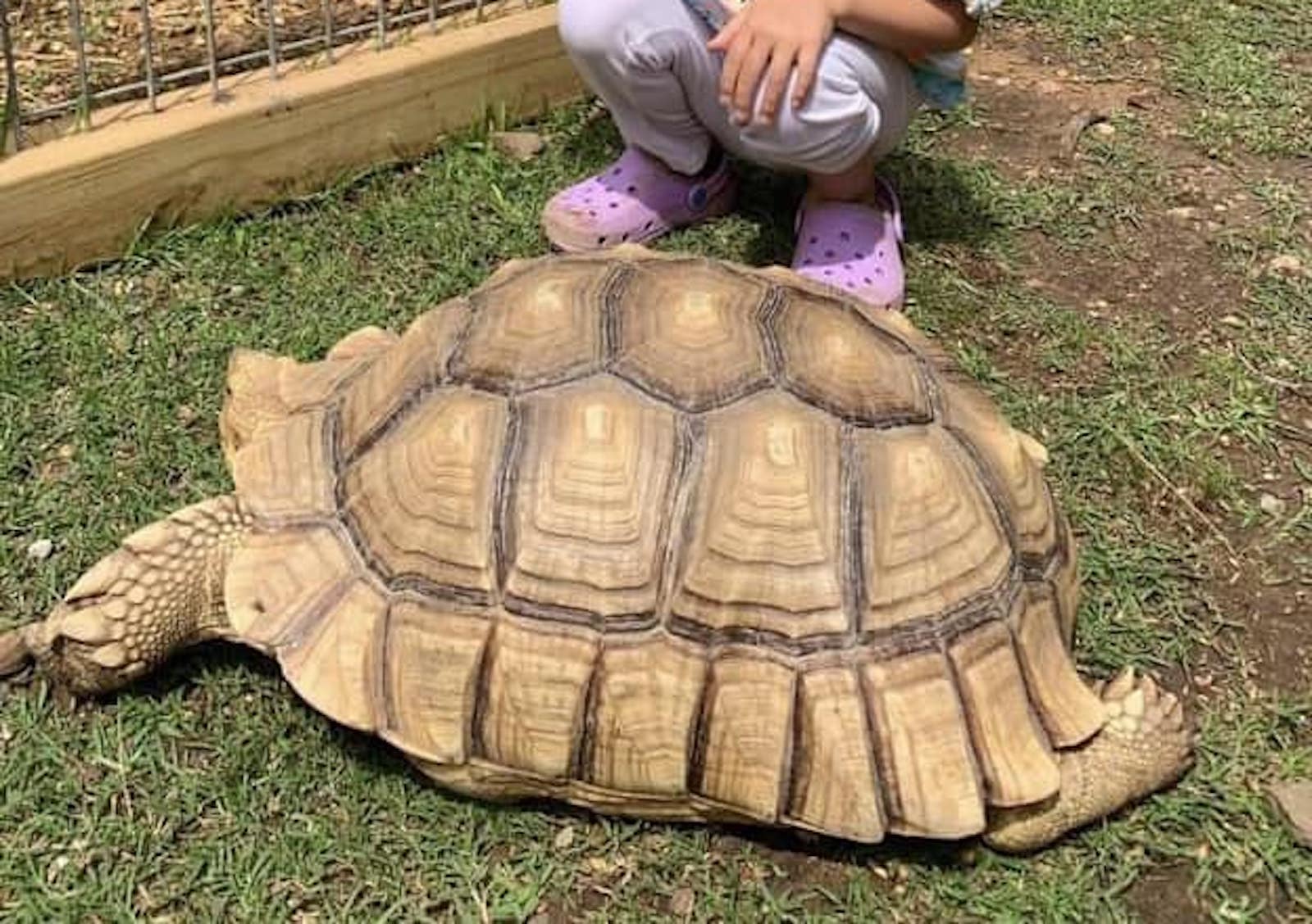 5 Things To Do in Hochatown, Oklahoma Mountain View RV Park